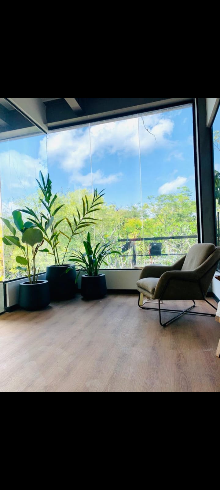 FIBERGLASS PLANTER MANUFACTURERS & WHOLESALER IN SRI LANKA